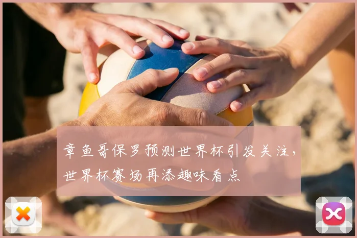 章鱼哥保罗预测世界杯引发关注,世界杯赛场再添趣味看点