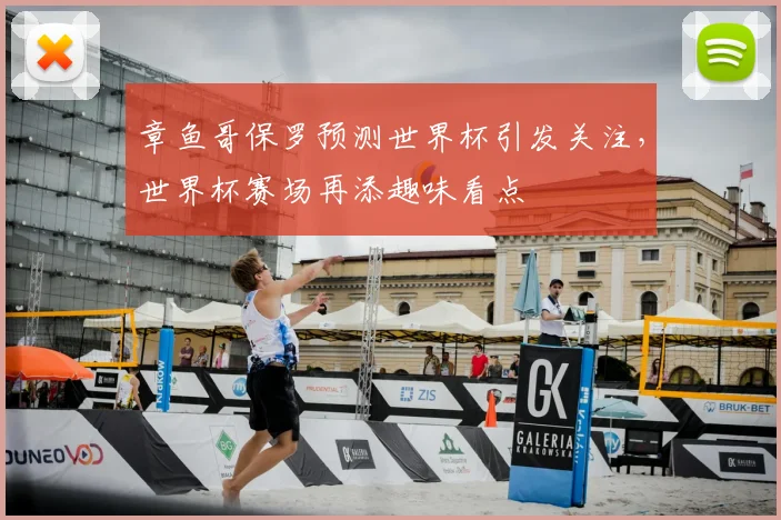 章鱼哥保罗预测世界杯引发关注,世界杯赛场再添趣味看点