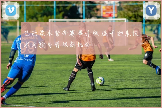 巴西柔术紫带赛事升级 选手迎来技术考验与晋级新机会