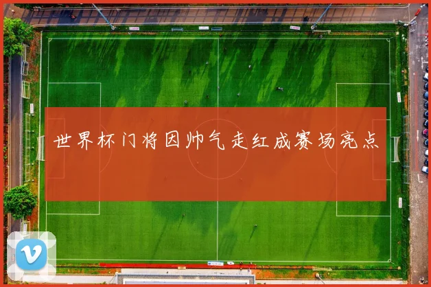 世界杯门将因帅气走红成赛场亮点