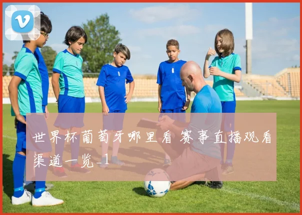 世界杯葡萄牙哪里看 赛事直播观看渠道一览_1