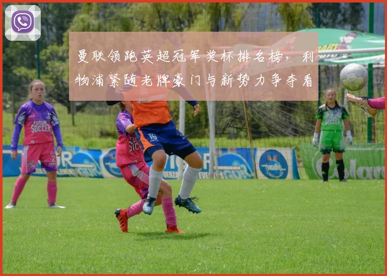 曼联领跑英超冠军奖杯排名榜，利物浦紧随老牌豪门与新势力争夺看点