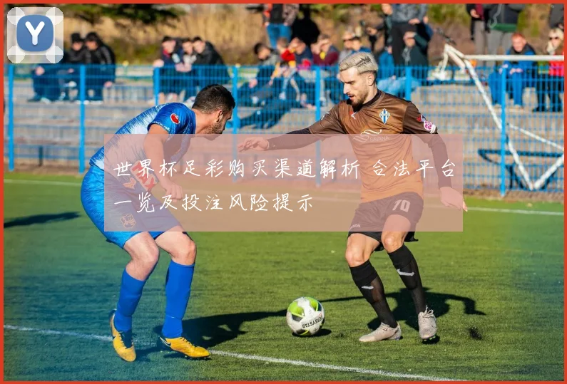 世界杯足彩购买渠道解析 合法平台一览及投注风险提示