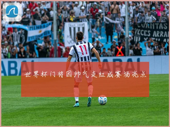 世界杯门将因帅气走红成赛场亮点