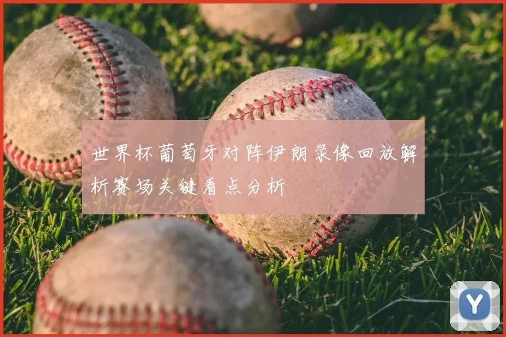 世界杯葡萄牙对阵伊朗录像回放解析赛场关键看点分析