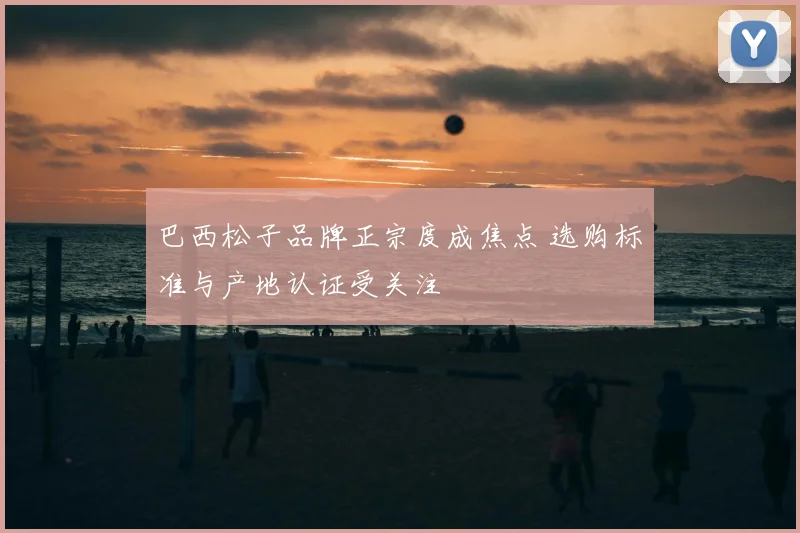 巴西松子品牌正宗度成焦点 选购标准与产地认证受关注