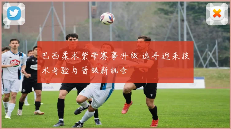 巴西柔术紫带赛事升级 选手迎来技术考验与晋级新机会