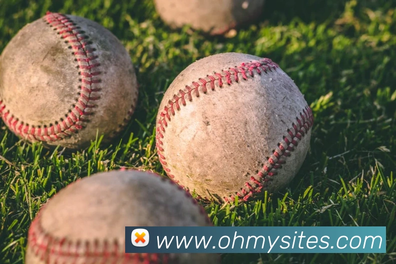 6686在线登录官网平台生态图